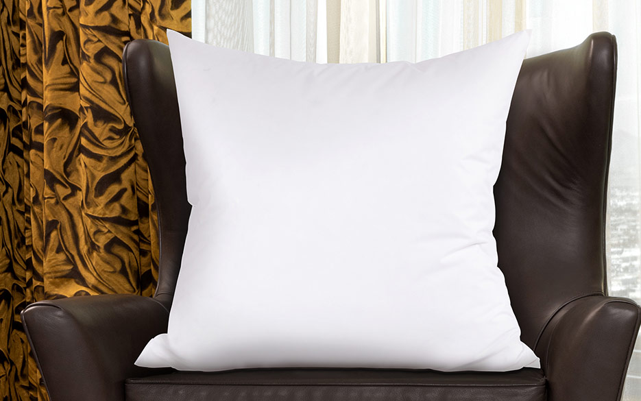 Discover More Delights: Euro Pillow